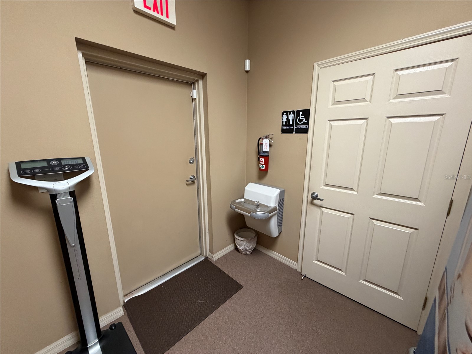 4325 Lynx Paw Trail #4325 Valrico FL 33596 TB8518734 image49