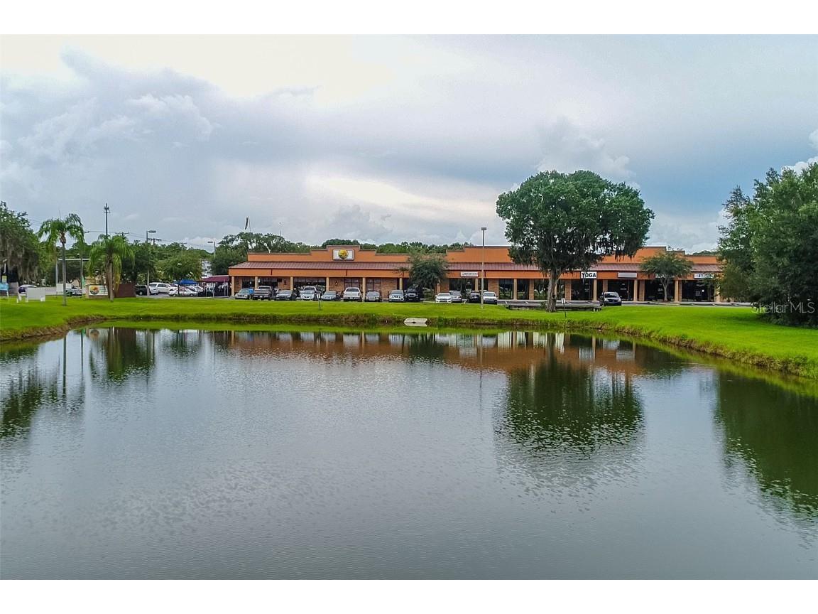 4325 Lynx Paw Trail Valrico FL 33596 TB8349322 image27