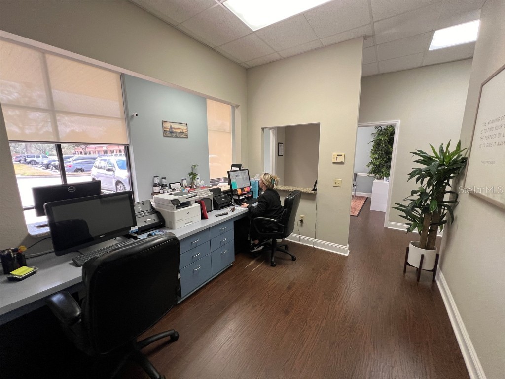 4325 Lynx Paw Trail Valrico FL 33596 TB8349322 image43