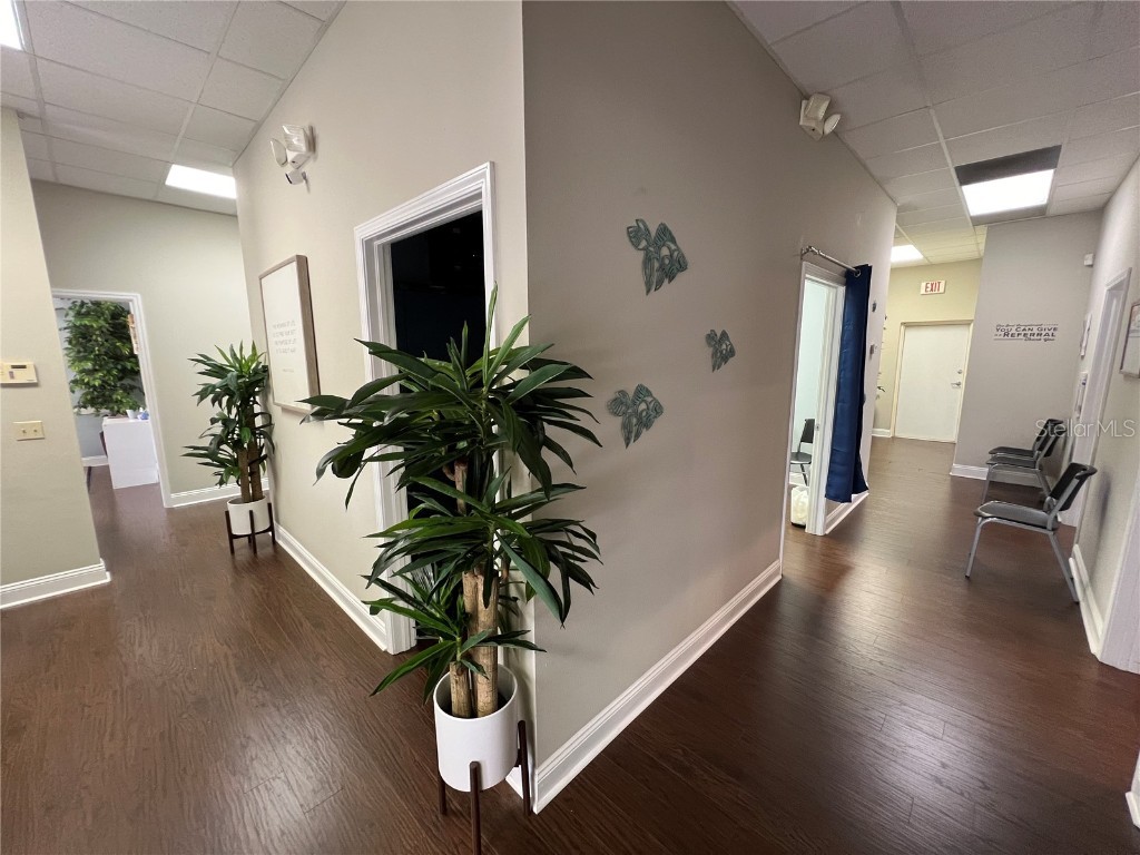 4325 Lynx Paw Trail Valrico FL 33596 TB8349322 image44