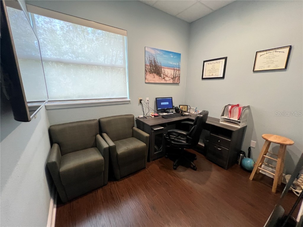 4325 Lynx Paw Trail Valrico FL 33596 TB8349322 image48