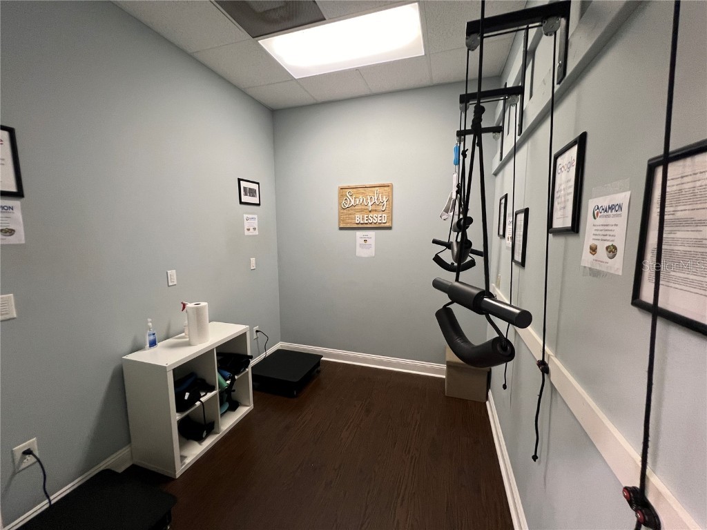 4325 Lynx Paw Trail Valrico FL 33596 TB8349322 image55