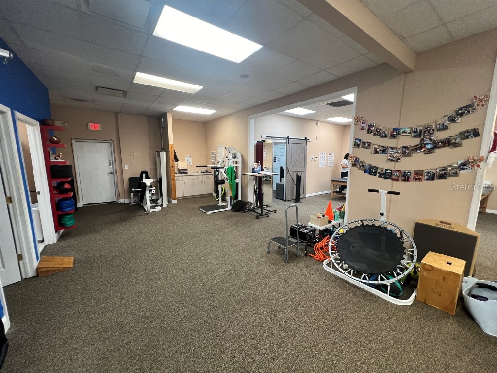 4325 Lynx Paw Trail Valrico FL 33596 TB8349322 image69