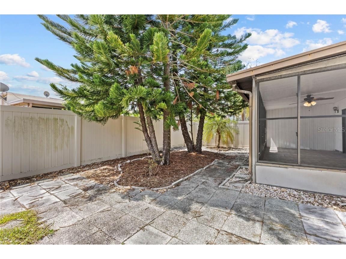 4326 Fern Glen Street Holiday FL 34691 TB8429779 image21