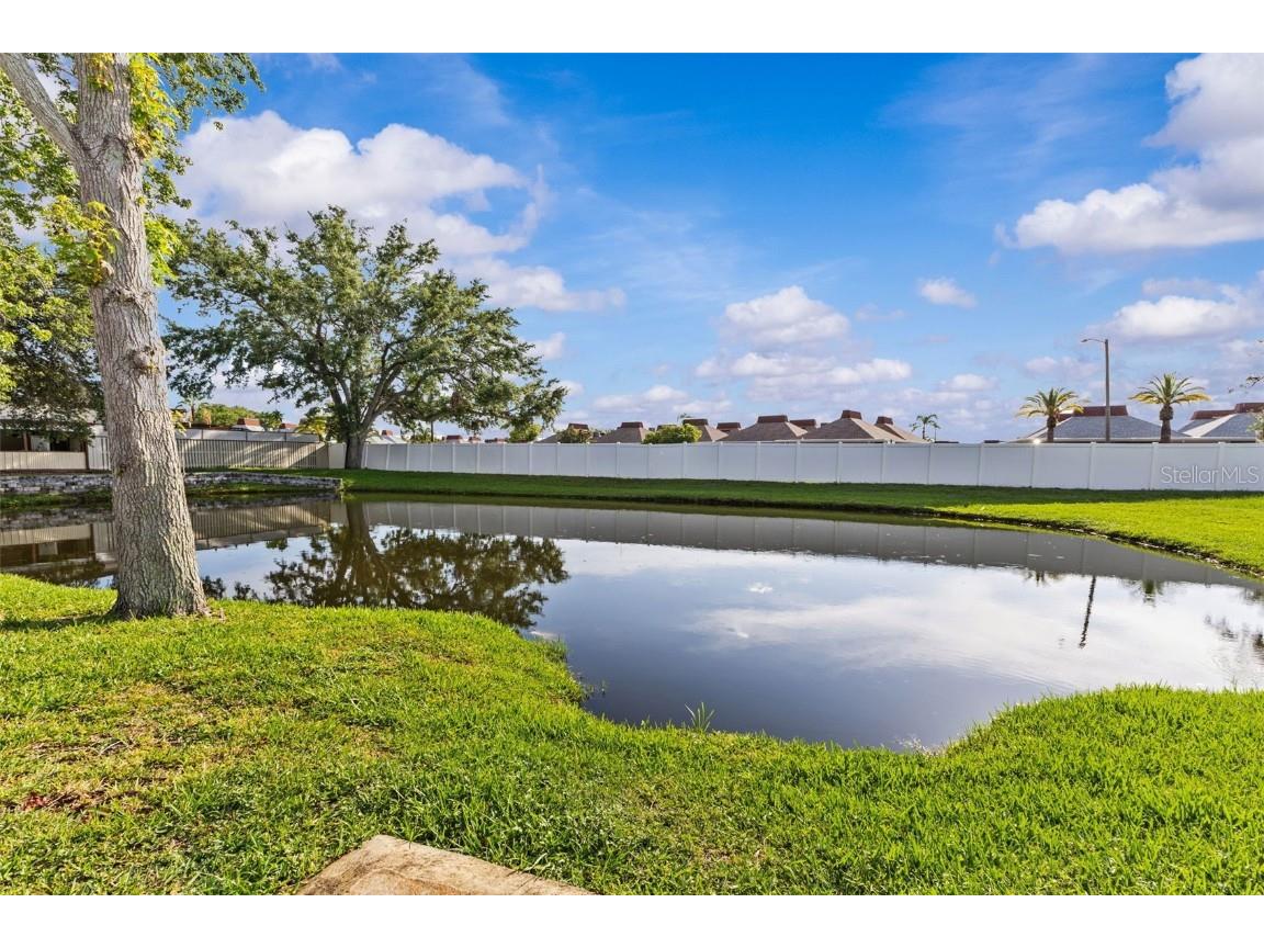 4326 Fern Glen Street Holiday FL 34691 TB8429779 image28