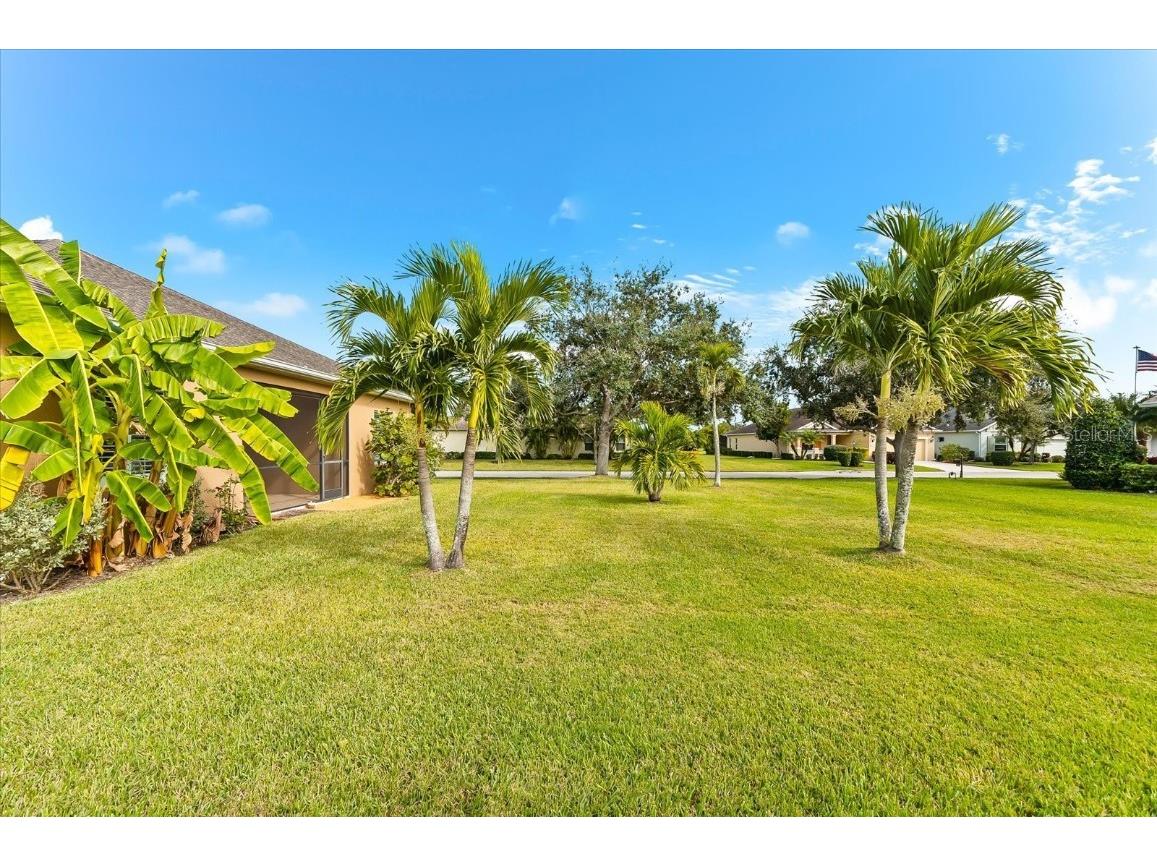 4326 Forest Creek Trail Parrish FL 34219 - SUMMER LAKE TB8452779 image46