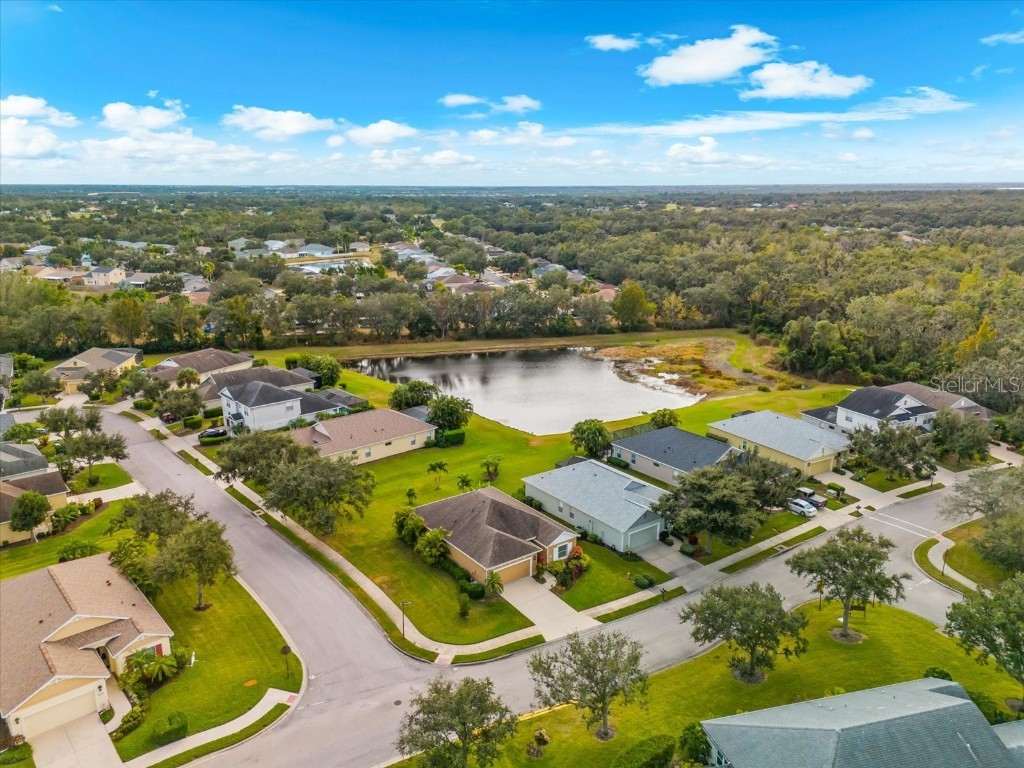 4326 Forest Creek Trail Parrish FL 34219 - SUMMER LAKE TB8452779 image51