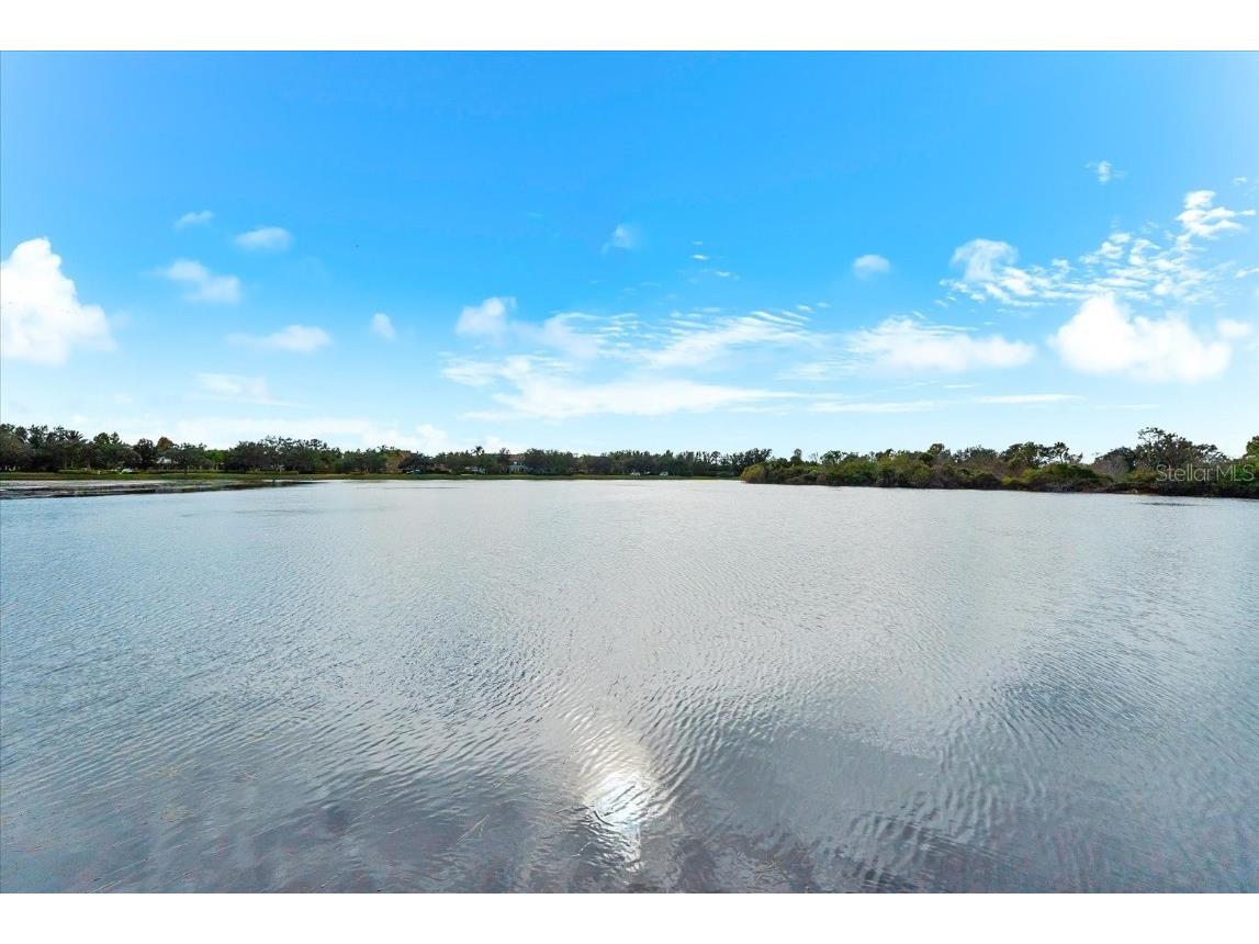 4326 Forest Creek Trail Parrish FL 34219 - SUMMER LAKE TB8452779 image71