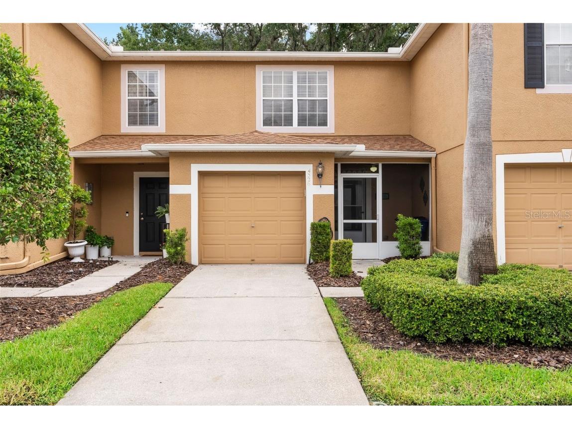 4326 Silver Falls Drive Land O Lakes FL 34639 T3549390 image1