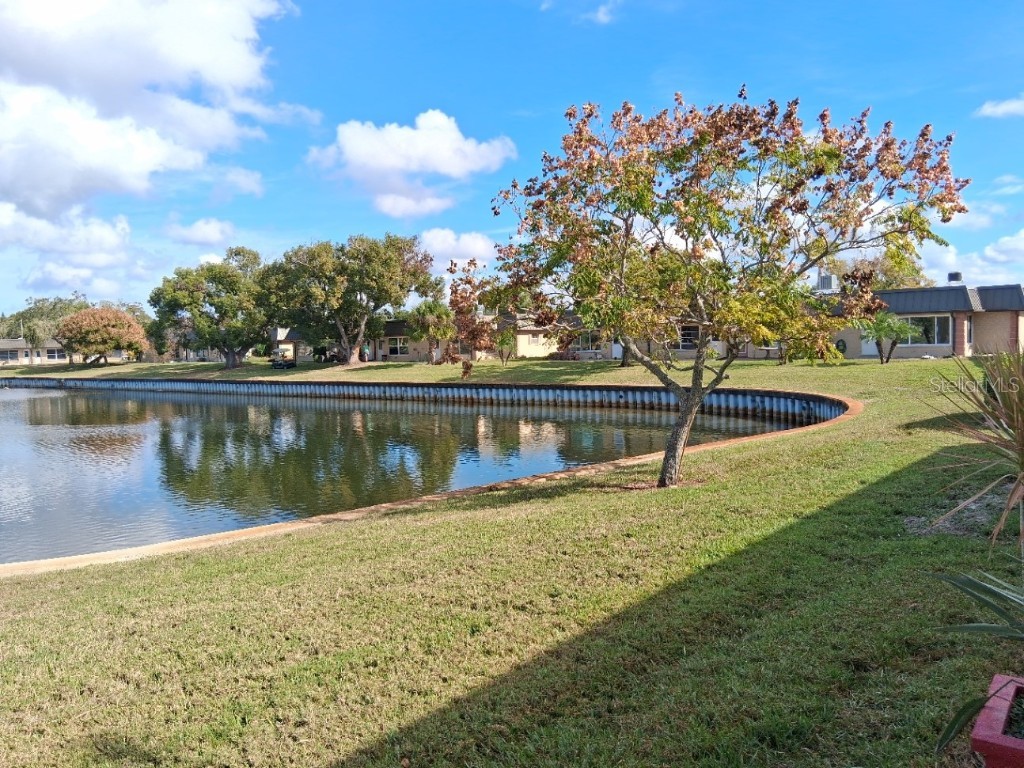 4326 Summersun Drive New Port Richey FL 34652 - GEYSER LAKE W7881043 image21