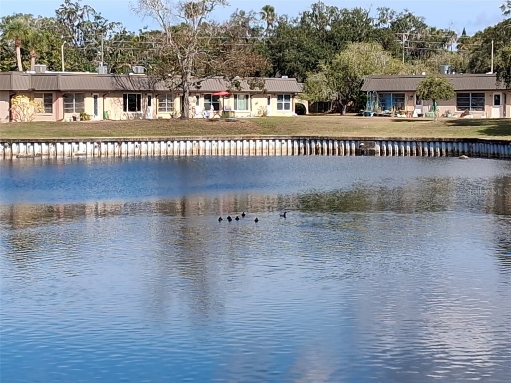 4326 Summersun Drive New Port Richey FL 34652 - GEYSER LAKE W7881043 image22