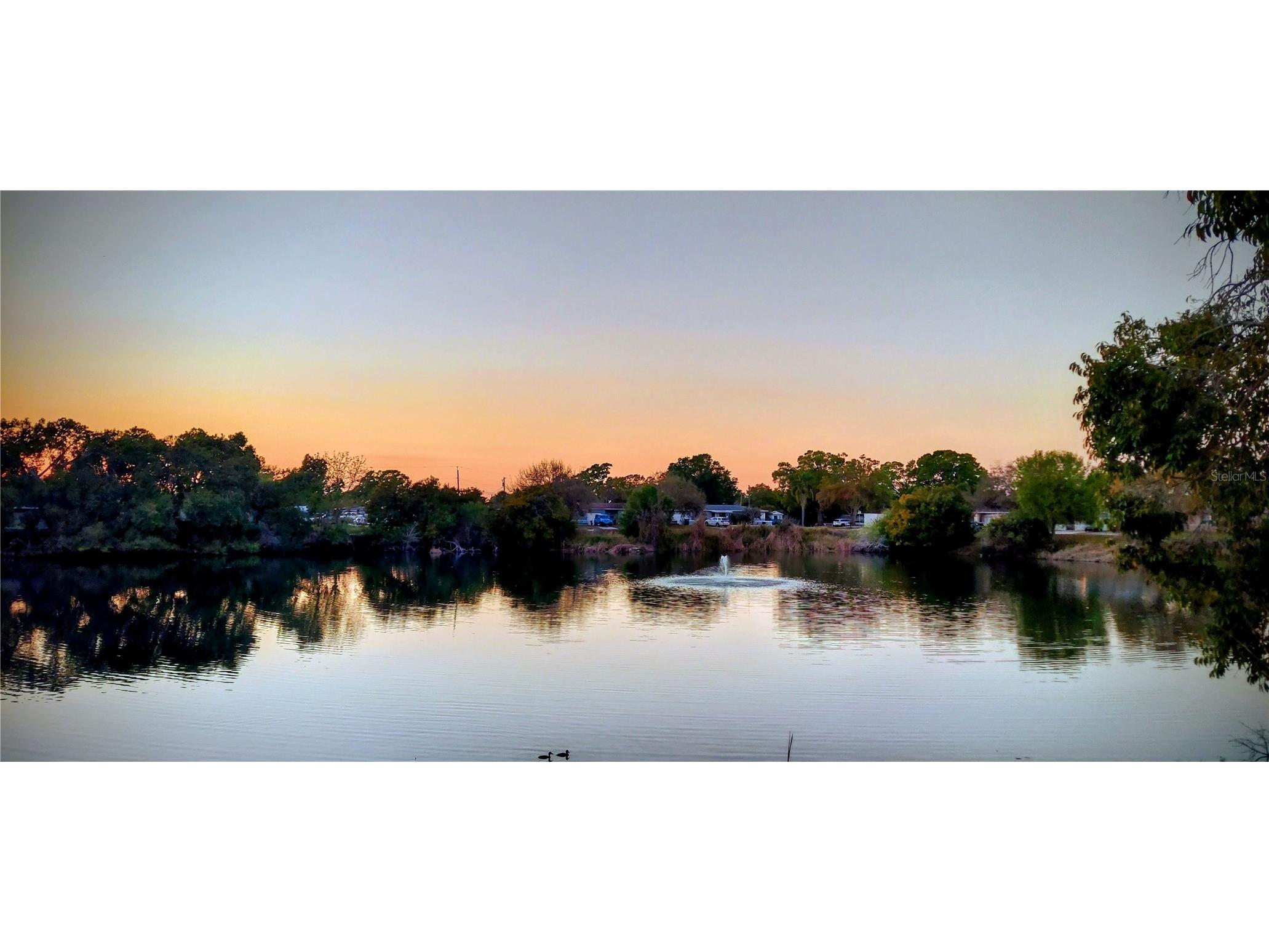 4327 59 Street N Saint Petersburg FL 33709 TB8484941 image39