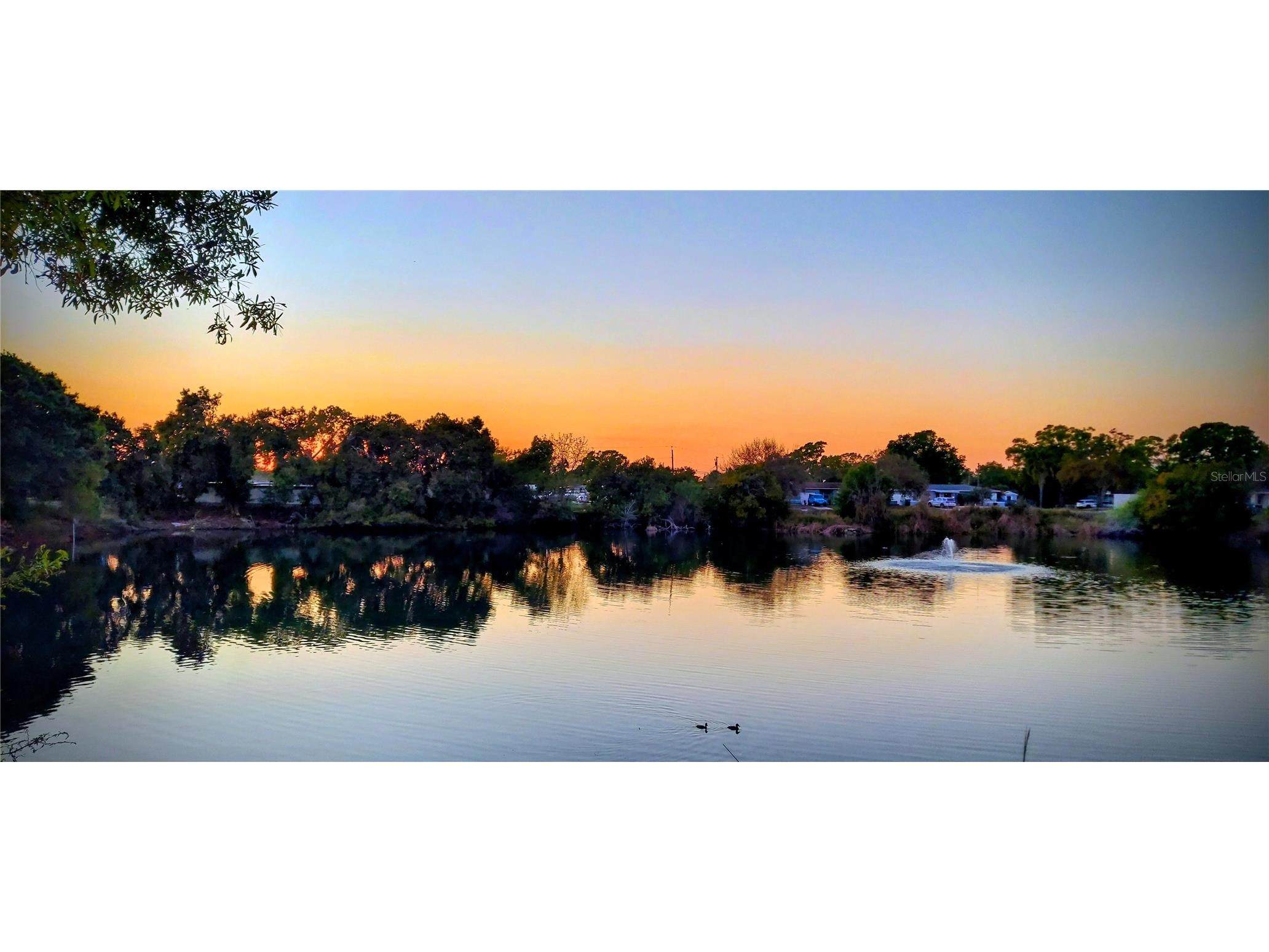 4327 59 Street N Saint Petersburg FL 33709 TB8484941 image40