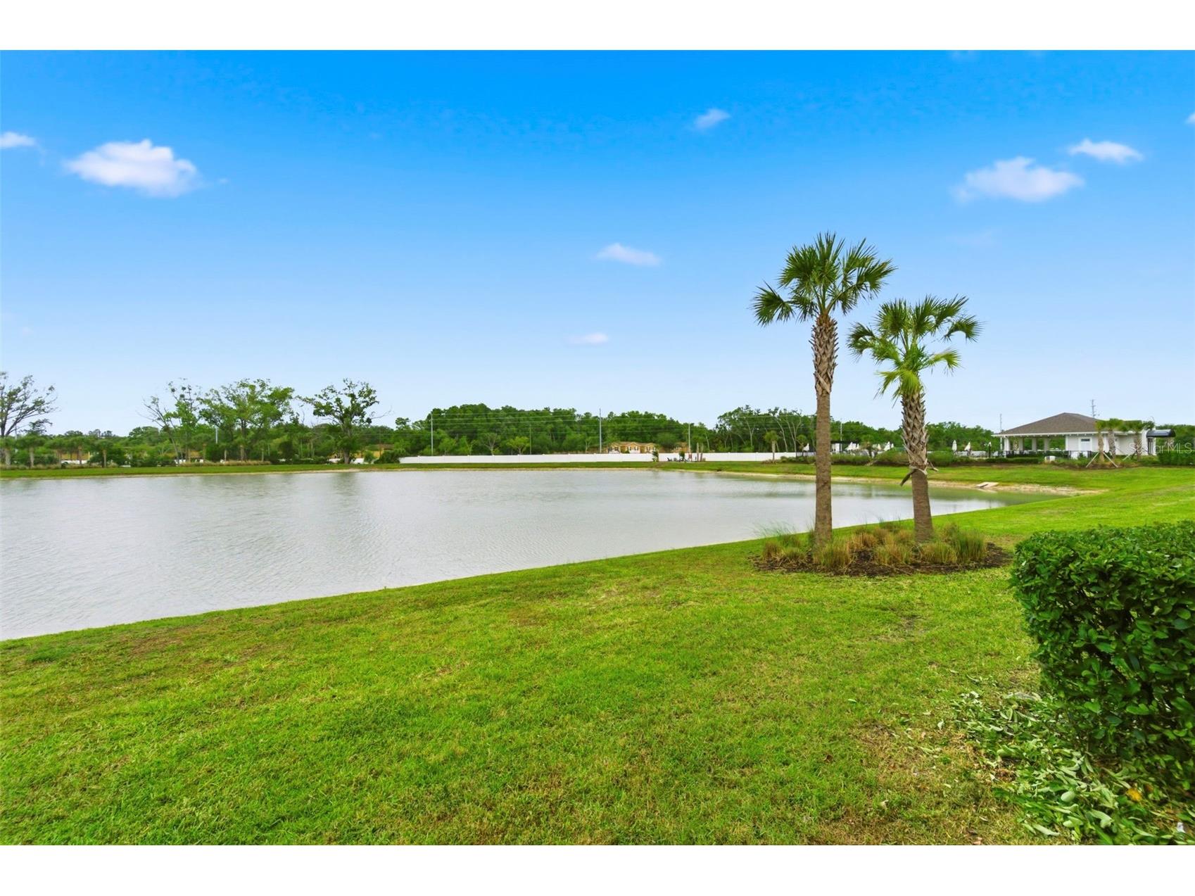 4327 Cloud Hopper Way Lutz FL 33559 TB8495680 image50