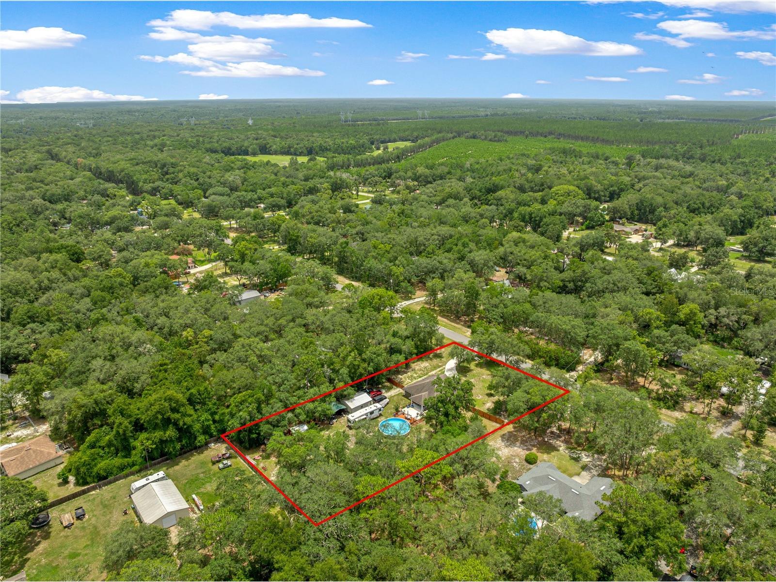 4328 Chokeberry Middleburg FL 32068 OM728325 image43