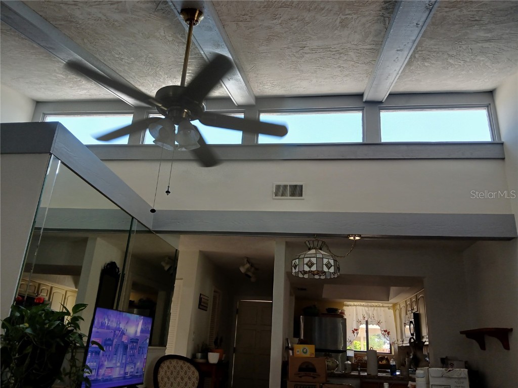 4328 Sussex Street Holiday FL 34691 TB8415535 image7