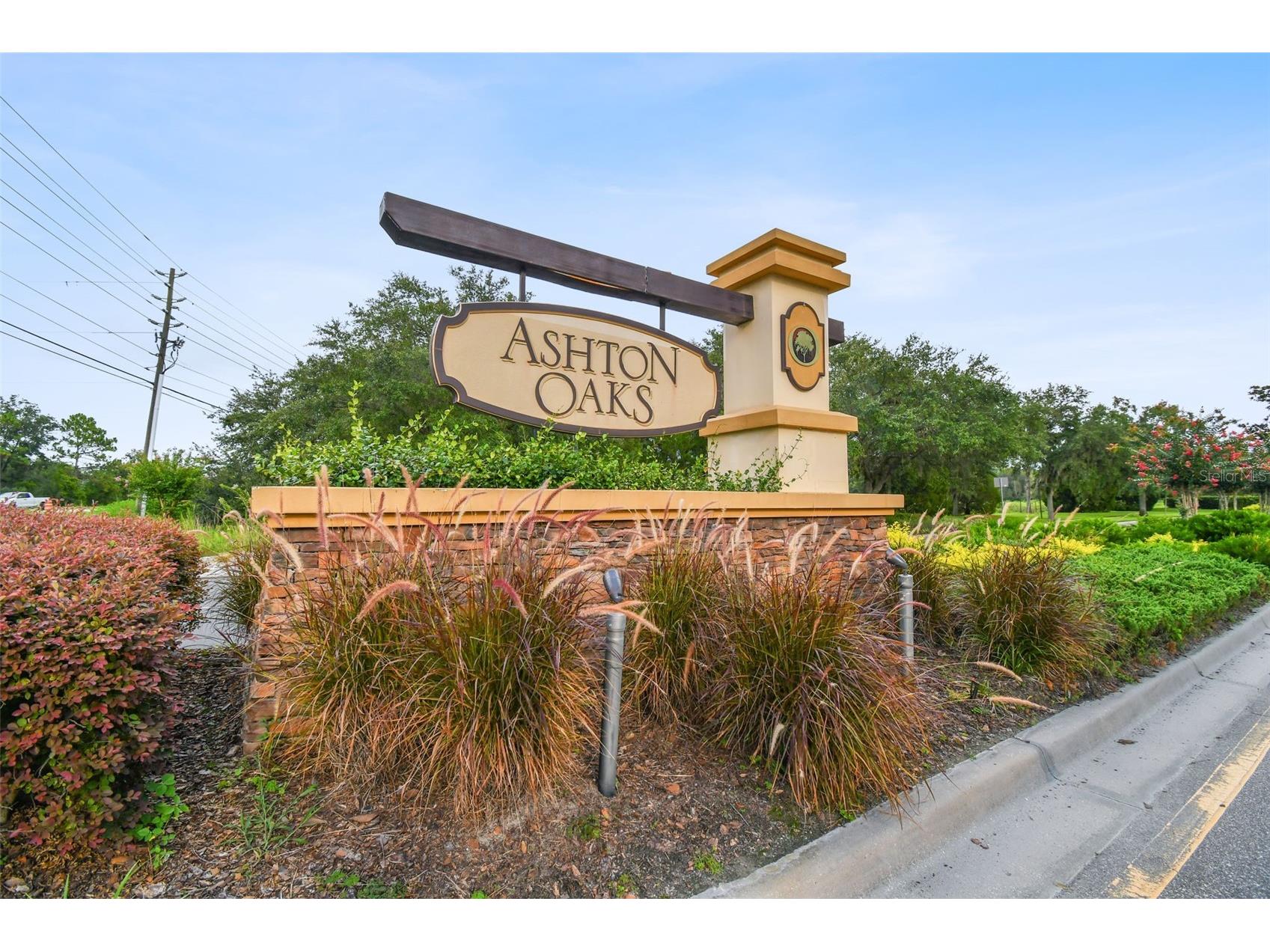 4329 Ashton Meadows Way Wesley Chapel FL 33543 TB8507656 image2