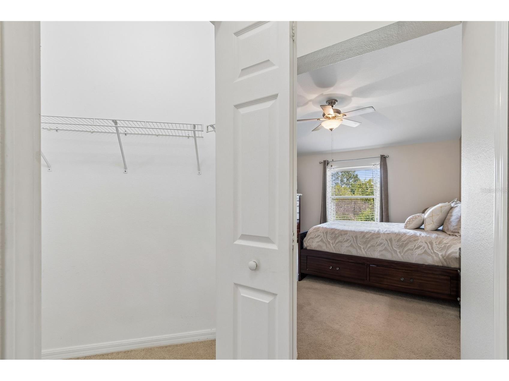 4329 Ashton Meadows Way Wesley Chapel FL 33543 TB8507656 image24
