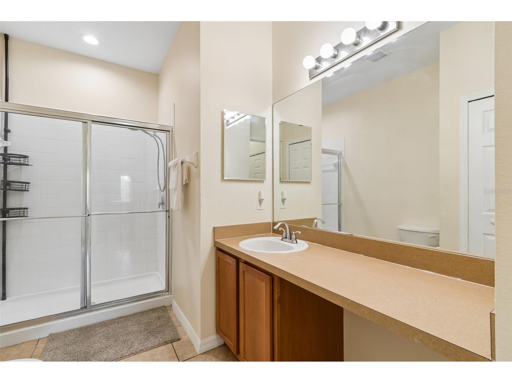 4329 Ashton Meadows Way Wesley Chapel FL 33543 TB8507656 image26