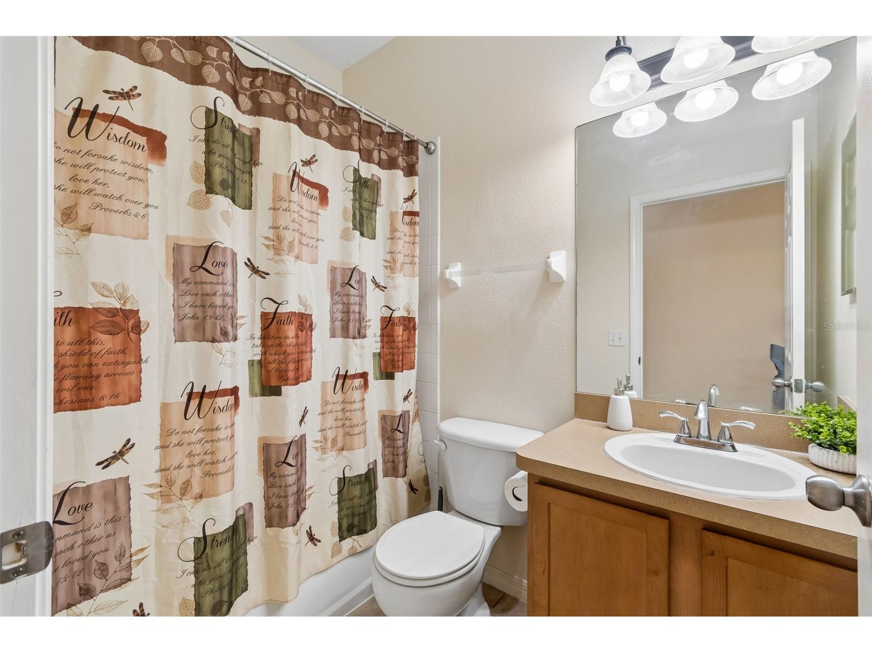 4329 Ashton Meadows Way Wesley Chapel FL 33543 TB8507656 image31