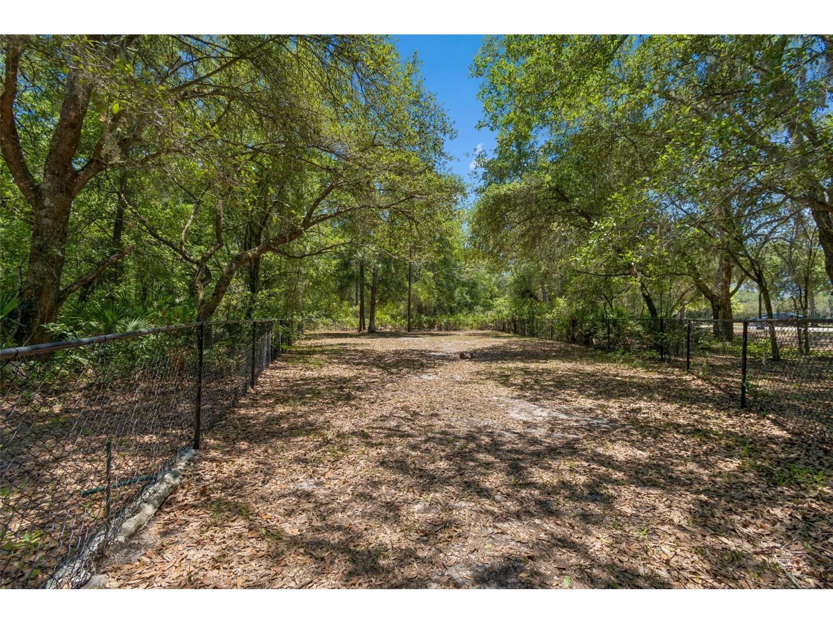 4329 Ashton Meadows Way Wesley Chapel FL 33543 TB8507656 image66