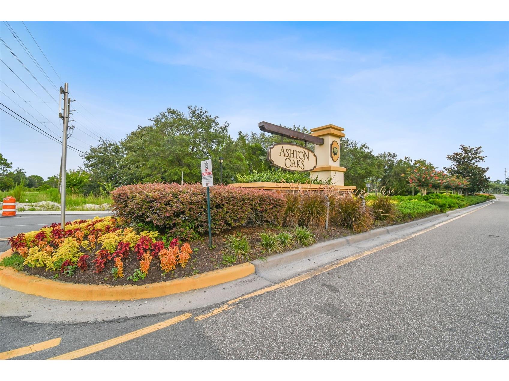 4329 Ashton Meadows Way Wesley Chapel FL 33543 TB8507656 image67