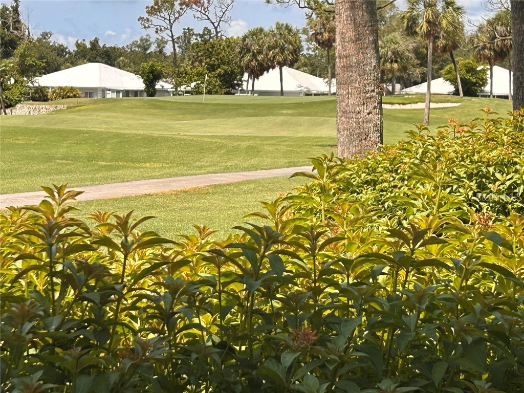 433 Cerromar Lane #331 Venice FL 34293 A4652001 image10