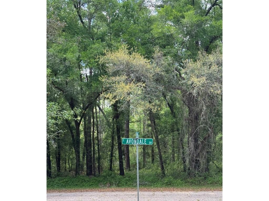 433 E Avondale Drive Dunnellon FL 34434 TB8370788 image1