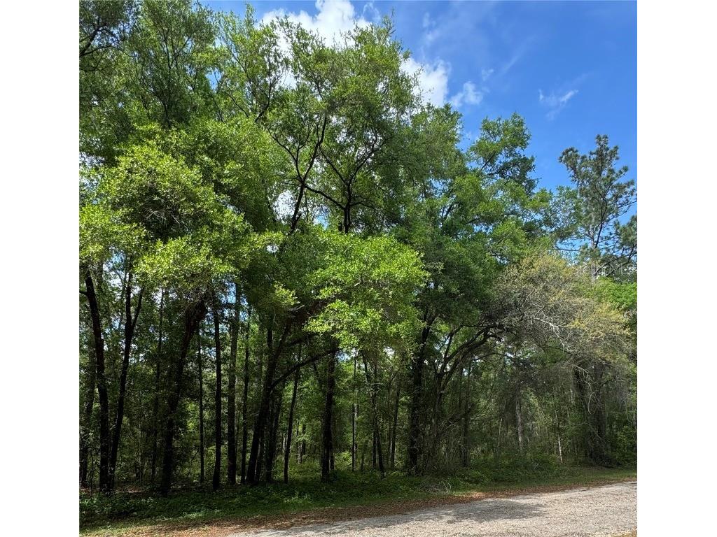 433 E Avondale Drive Dunnellon FL 34434 TB8370788 image3