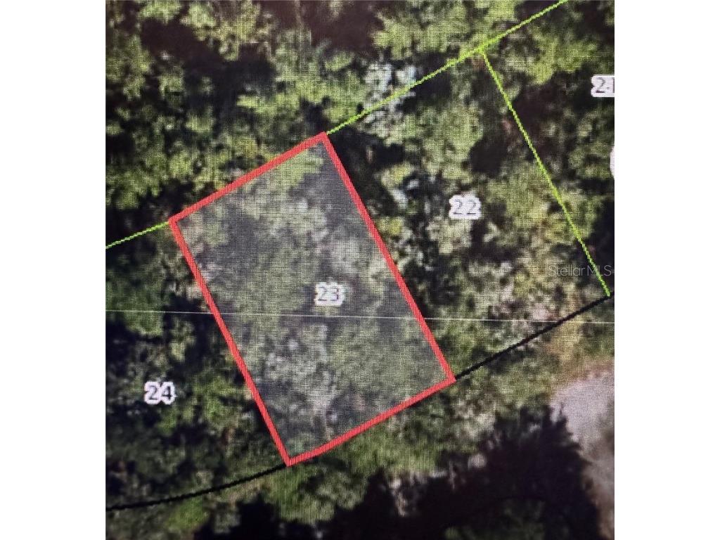 433 E Avondale Drive Dunnellon FL 34434 TB8370788 image4