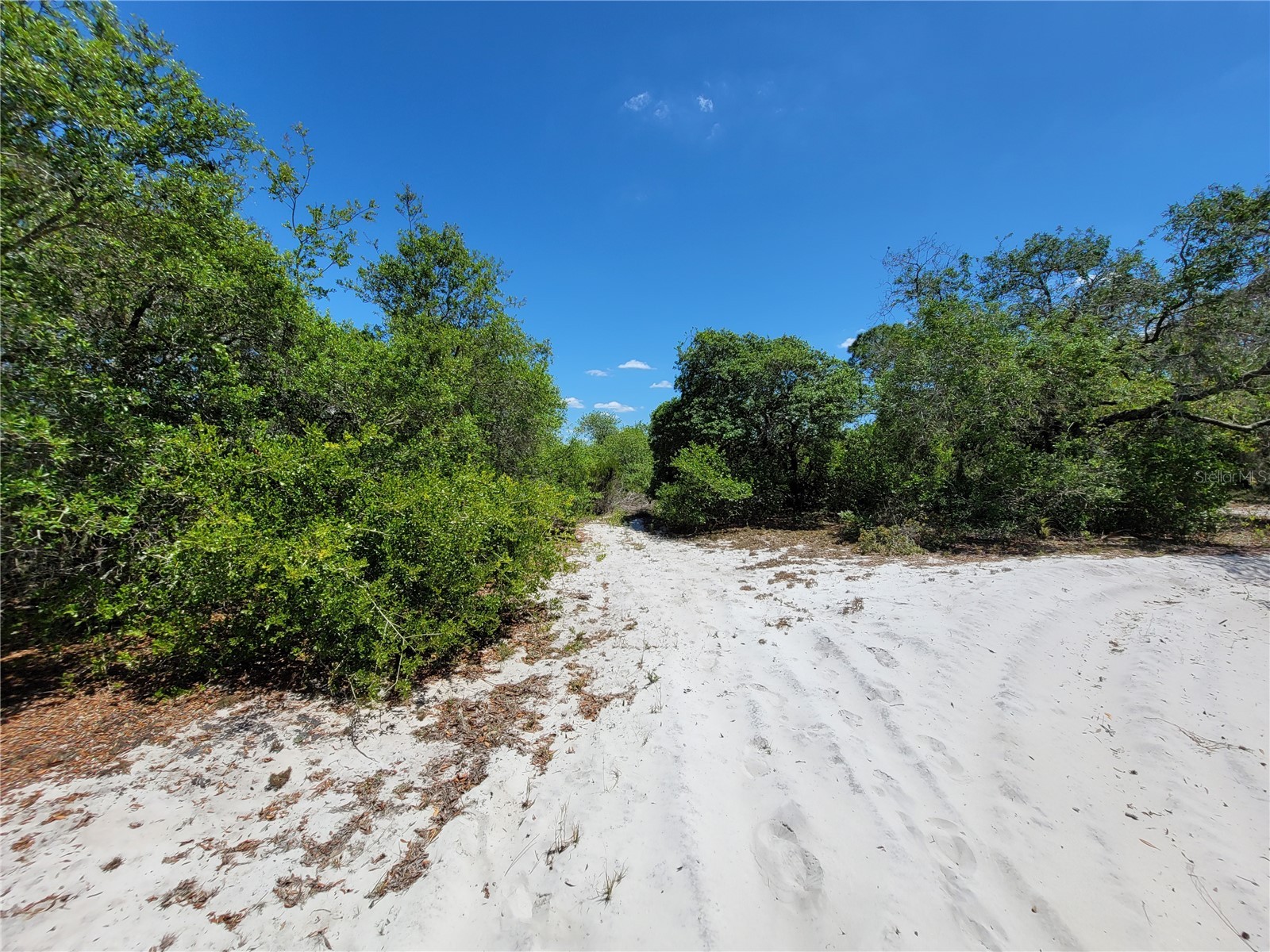 433 Gloria Boulevard Lake Placid FL 33852 A4687119 image2