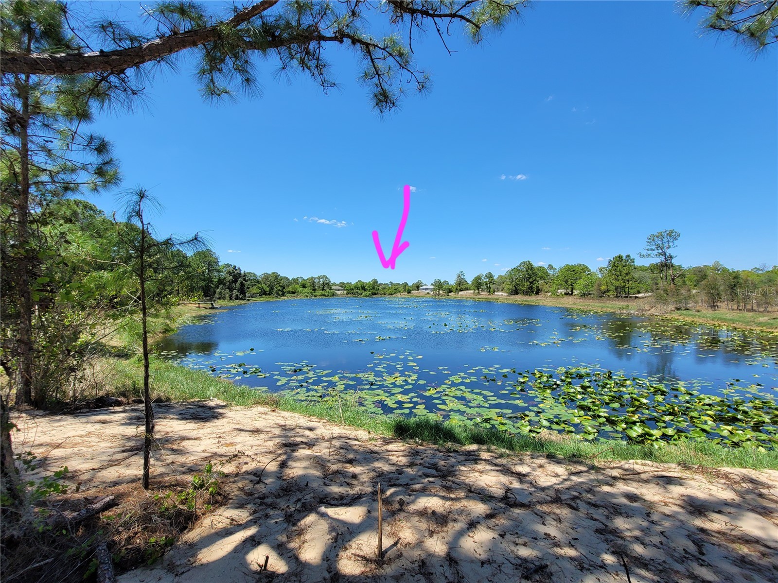 433 Gloria Boulevard Lake Placid FL 33852 A4687119 image3
