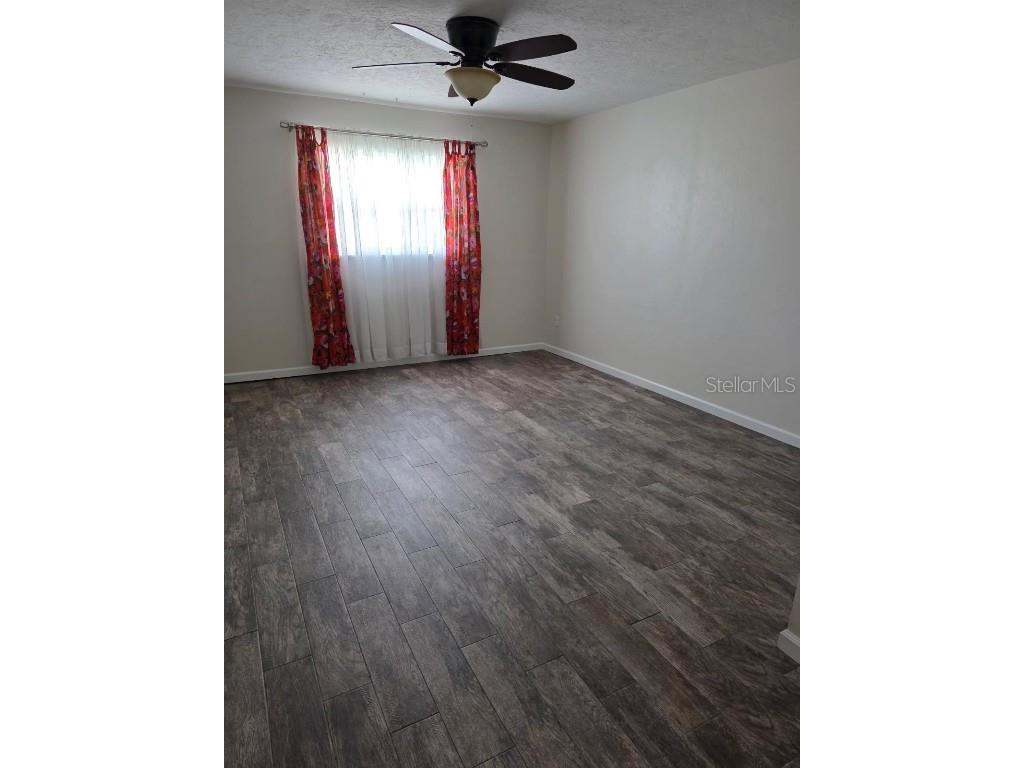 433 James Street #435 Dunedin FL 34698 TB8412576 image4