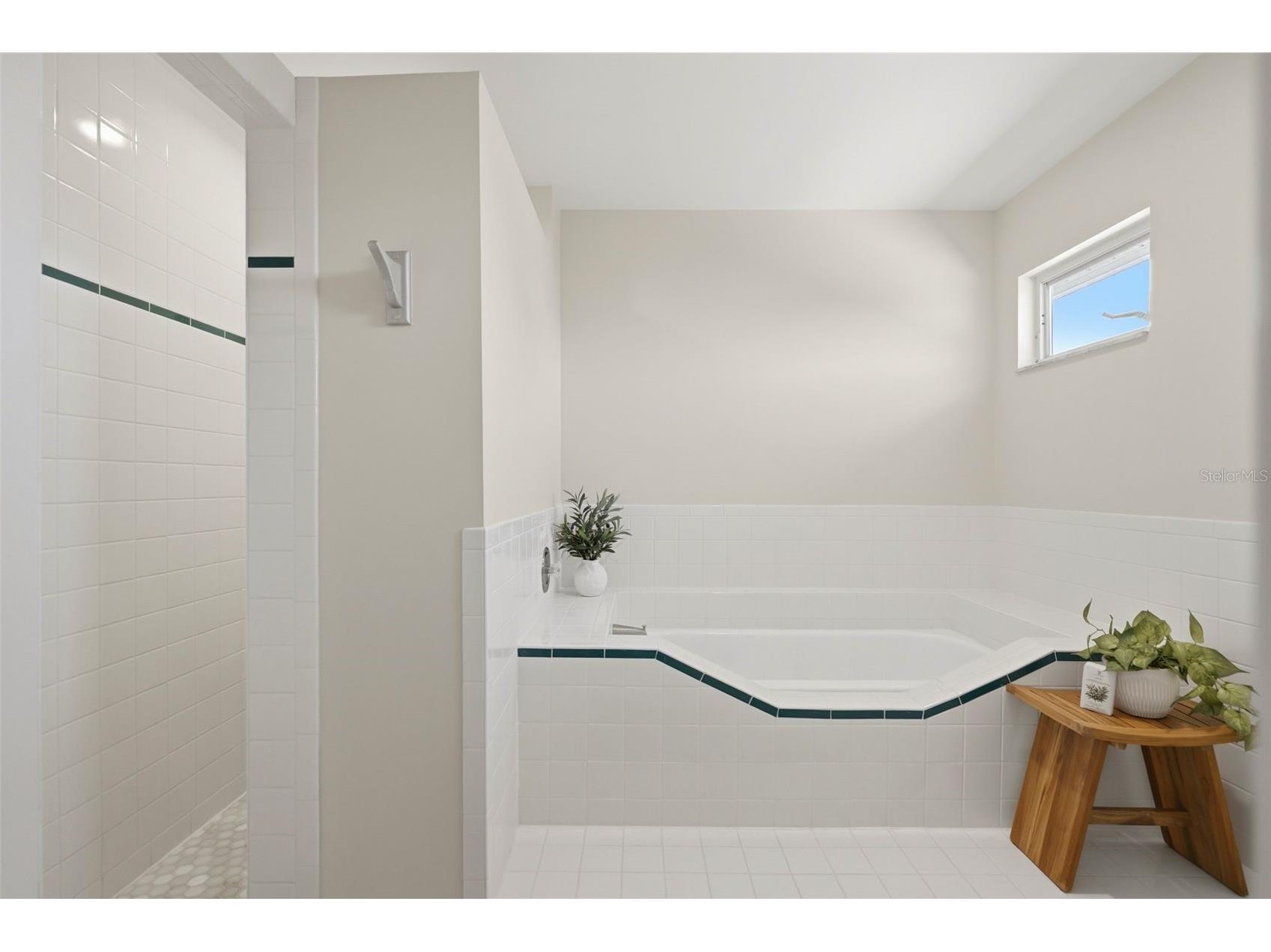 433 Monte Cristo Boulevard Tierra Verde FL 33715 TB8520575 image33