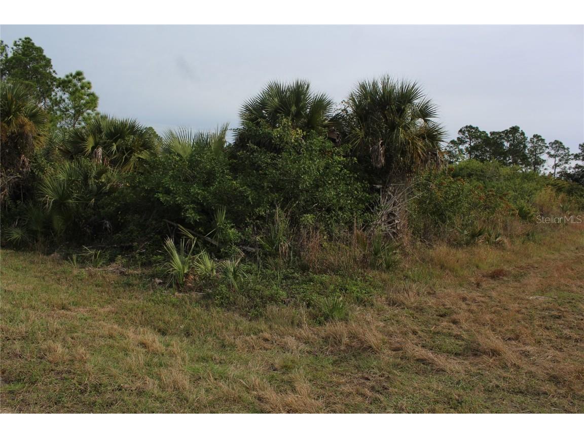 433 Naples Avenue S Lehigh Acres FL 33974 N6136800 image1