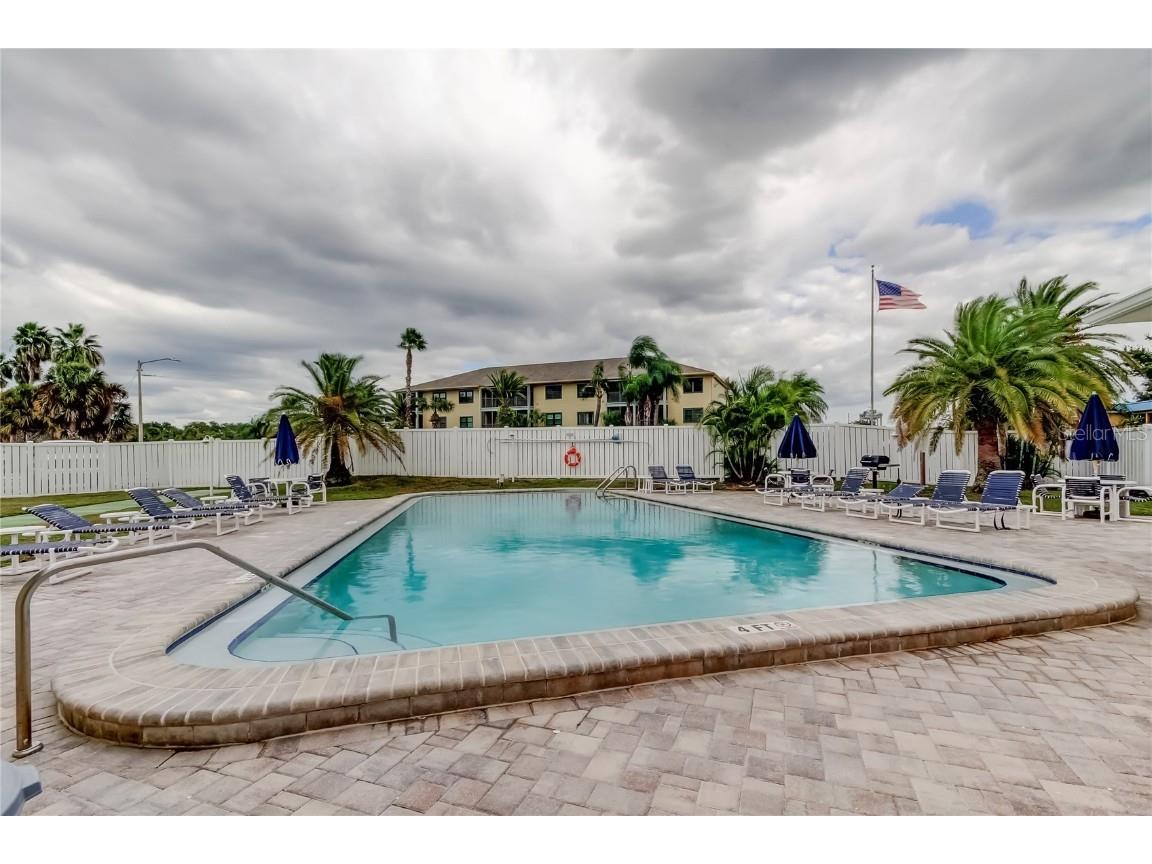 433 Paula Drive S #27 Dunedin FL 34698 TB8439356 image31