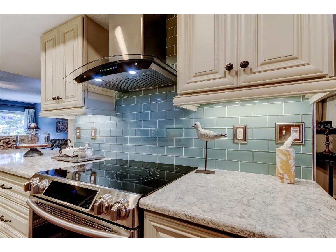 433 Paula Drive S #27 Dunedin FL 34698 TB8439356 image9