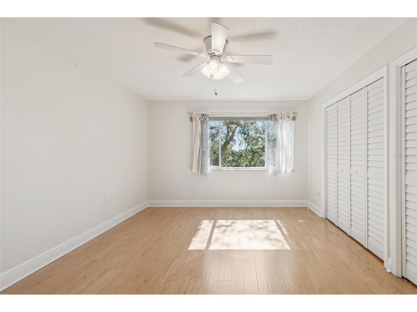 433 S Paula Drive #24 Dunedin FL 34698 TB8467573 image29