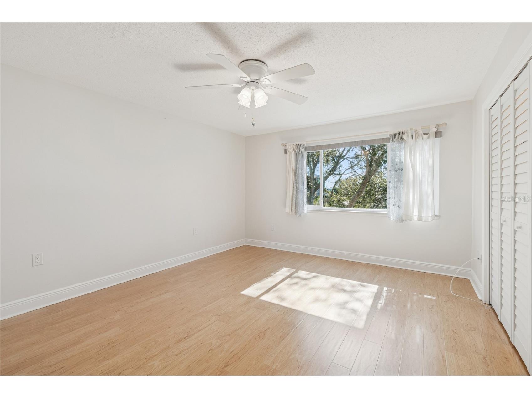 433 S Paula Drive #24 Dunedin FL 34698 TB8467573 image30