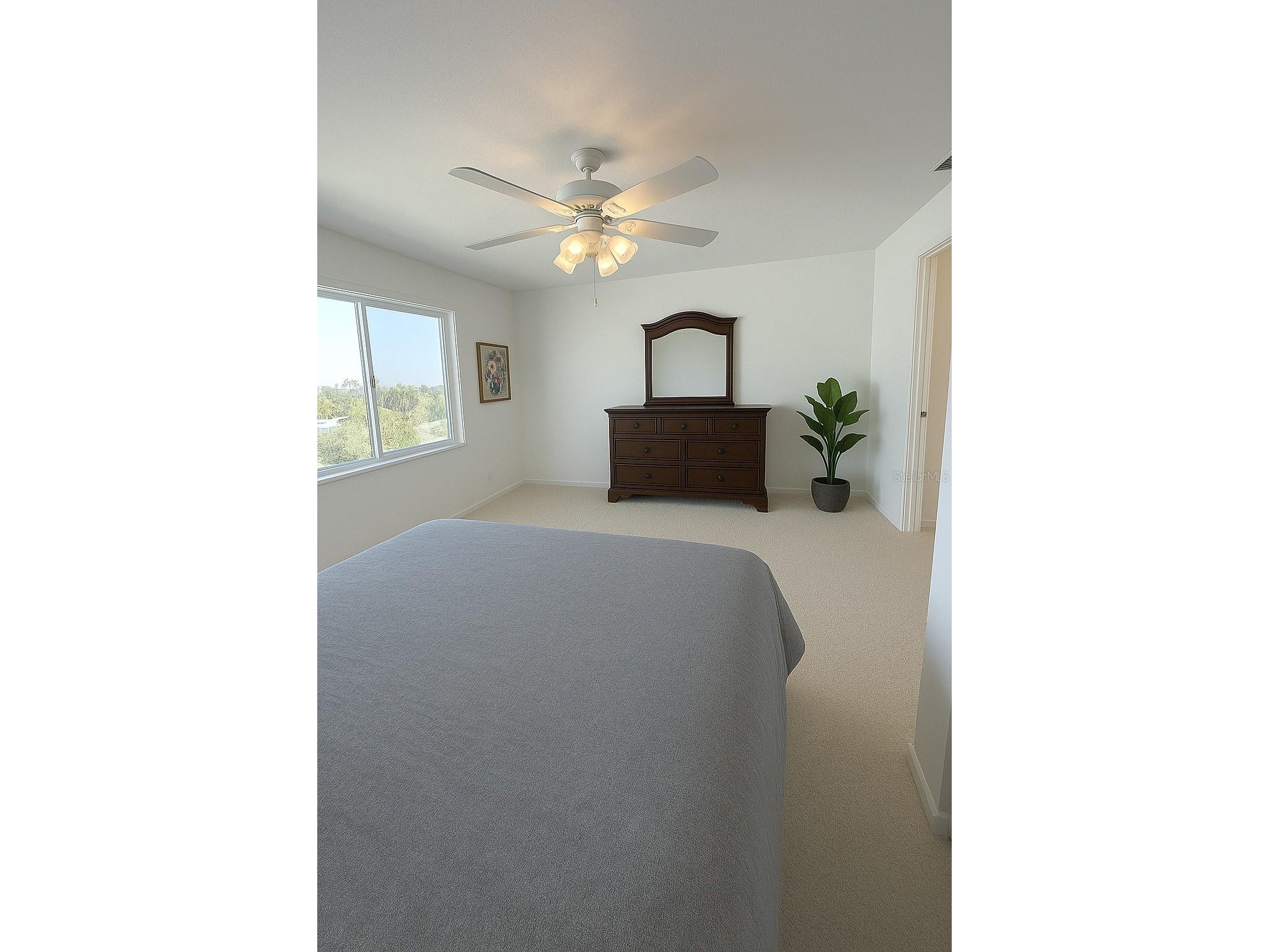 433 S Paula Drive #32 Dunedin FL 34698 TB8452829 image34