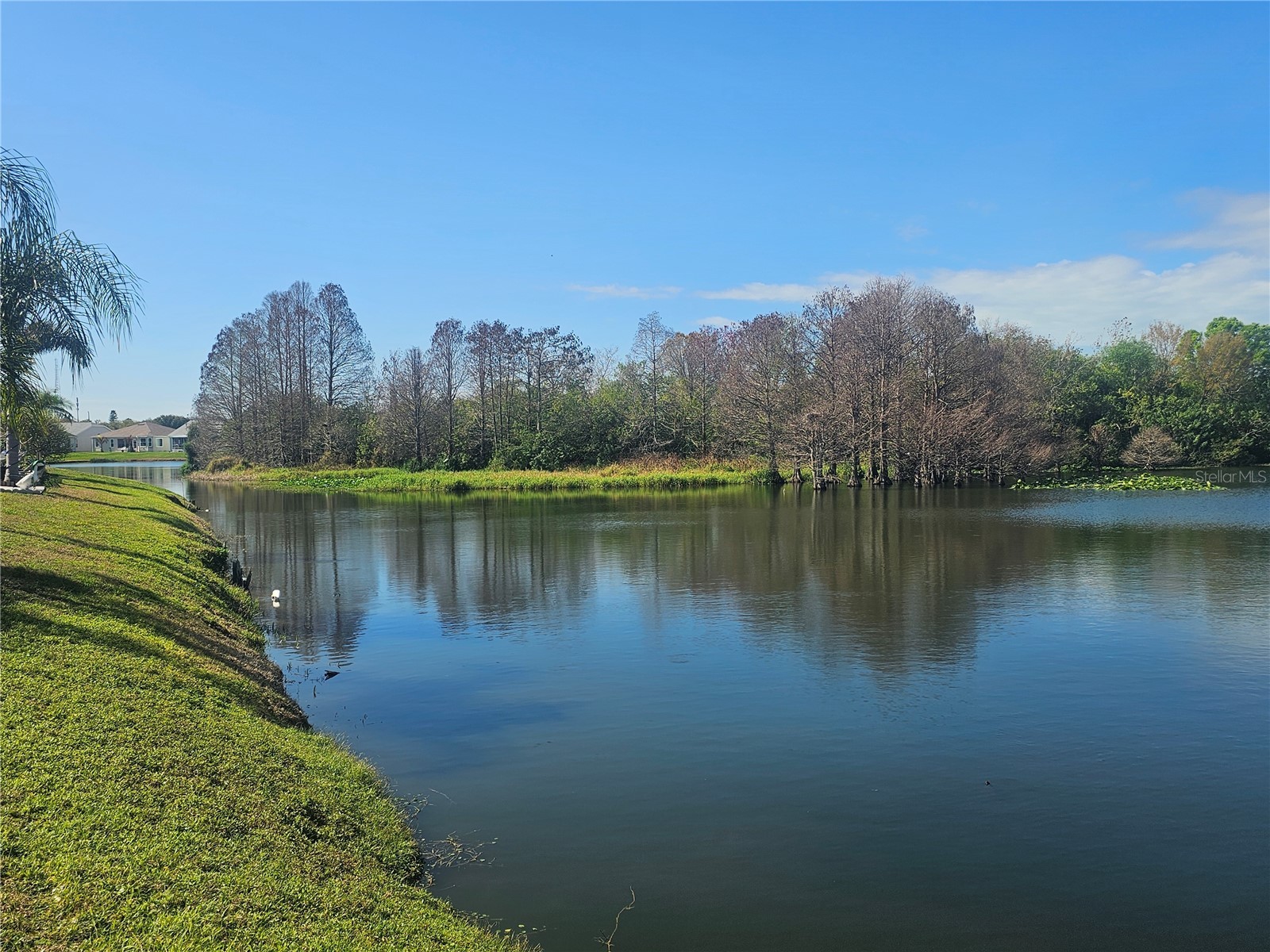 433 Sailfish Boulevard Oldsmar FL 34677 TB8481608 image10