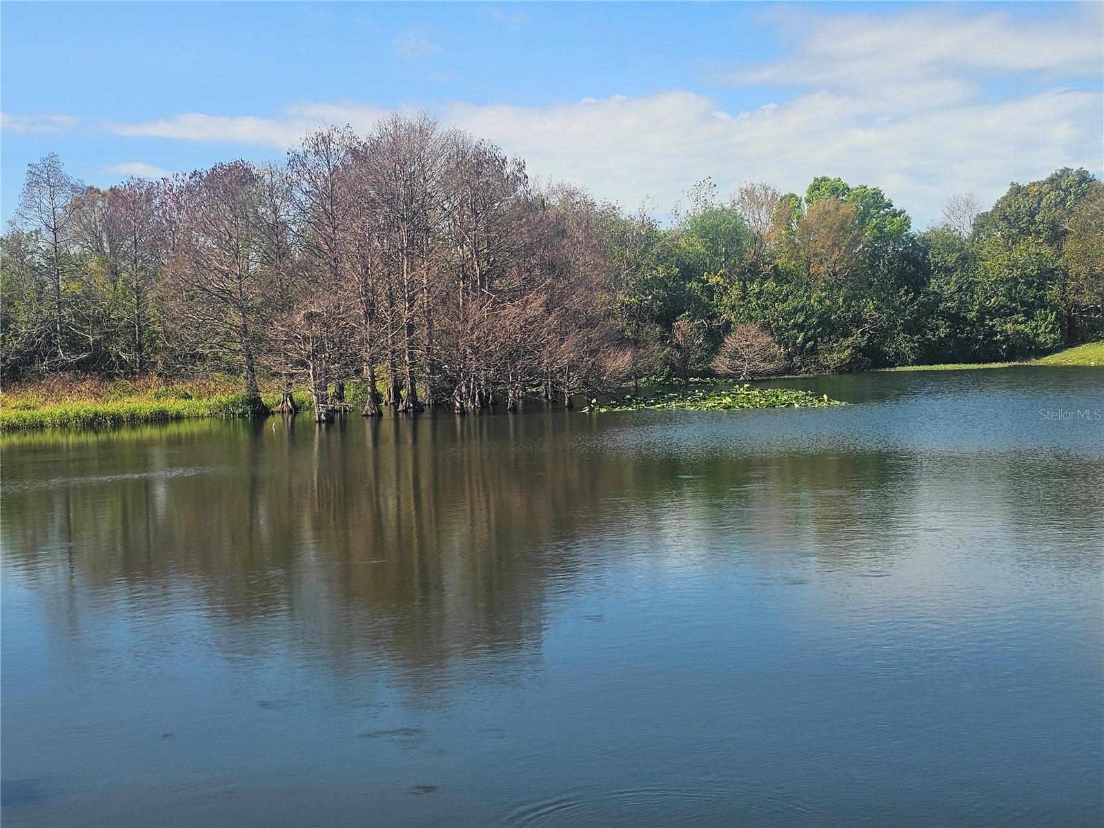 433 Sailfish Boulevard Oldsmar FL 34677 TB8481608 image11