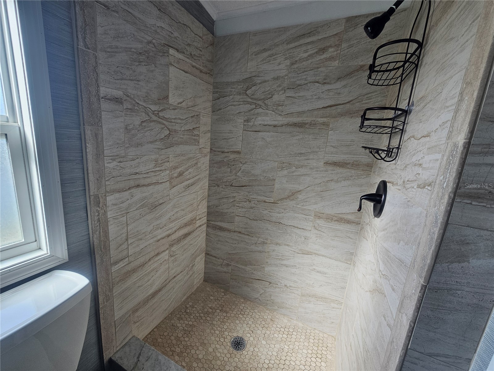 433 Sailfish Boulevard Oldsmar FL 34677 TB8481608 image30