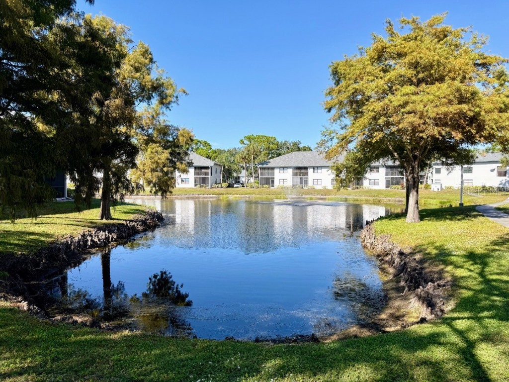 4330 47th Avenue W #202 Bradenton FL 34210 A4672919 image39