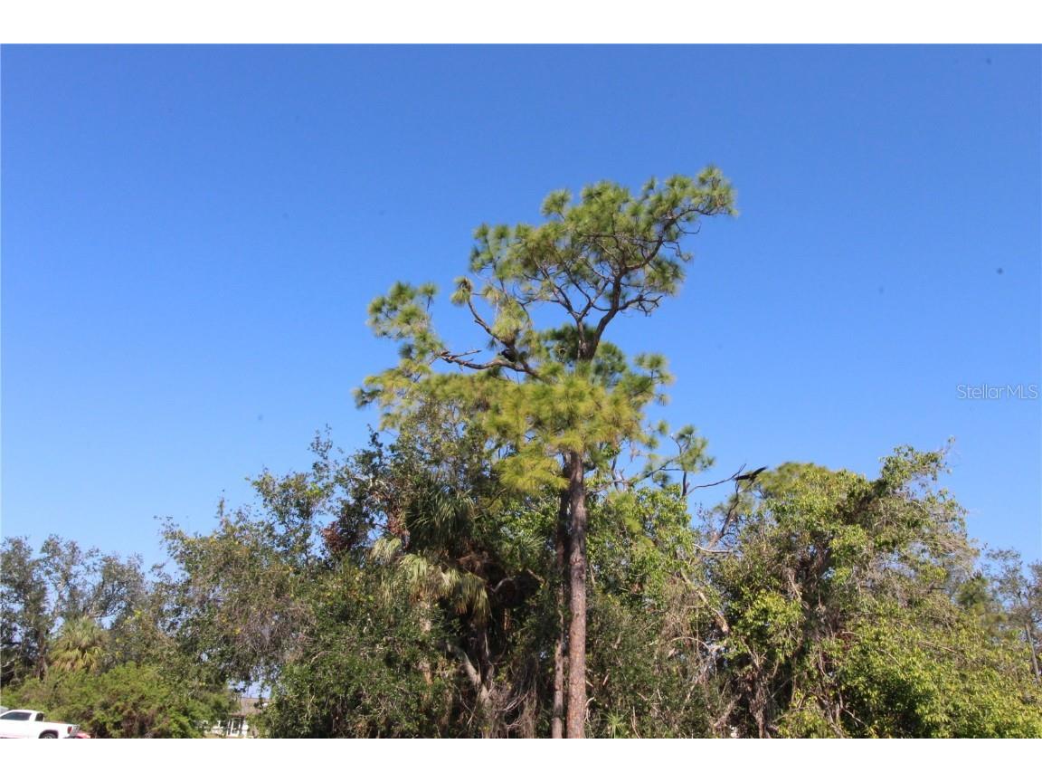 4330 Shappell Street Port Charlotte FL 33948 C7503378 image56