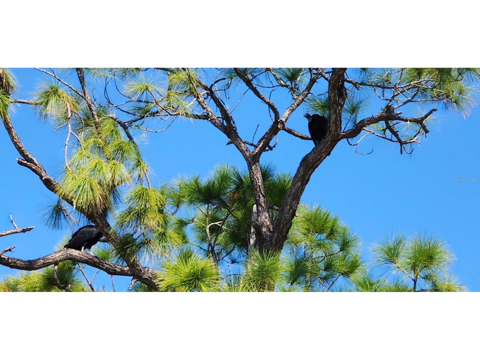 4330 Shappell Street Port Charlotte FL 33948 C7503378 image57