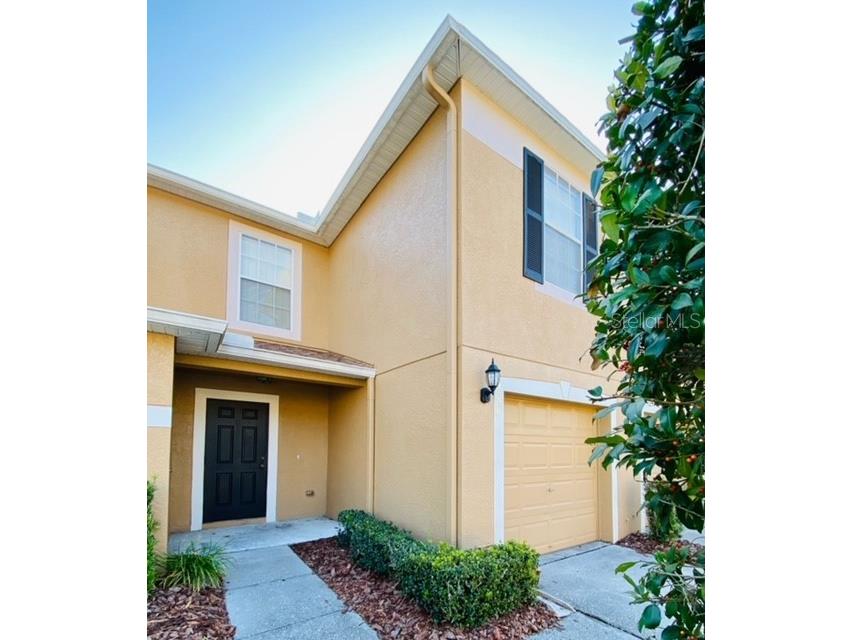 4330 Silver Falls Drive Land O Lakes FL 34639 T3361710 image1