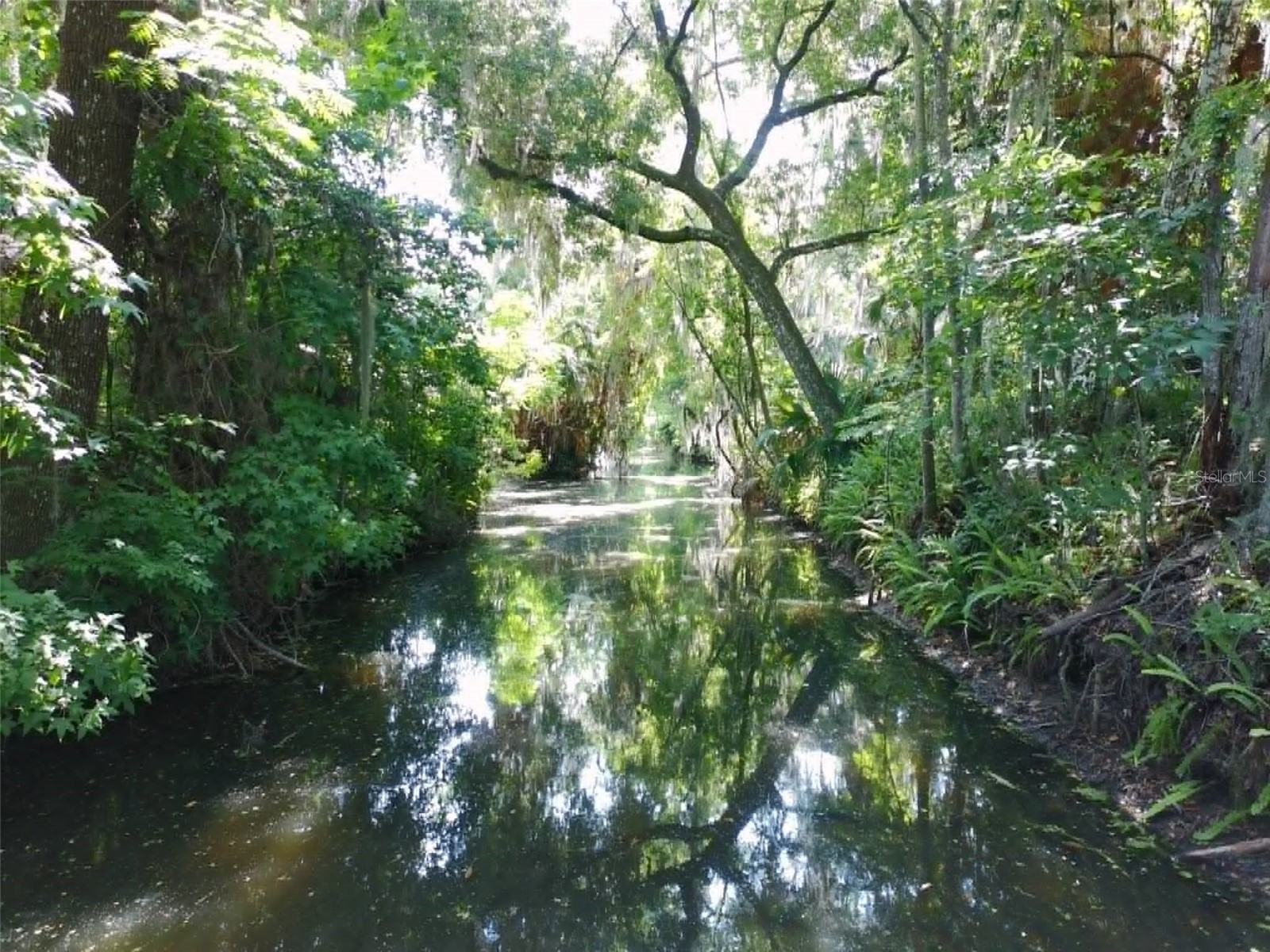 4331 Magnolia Avenue Leesburg FL 34748 - LAKE HARRIS L4961818 image34