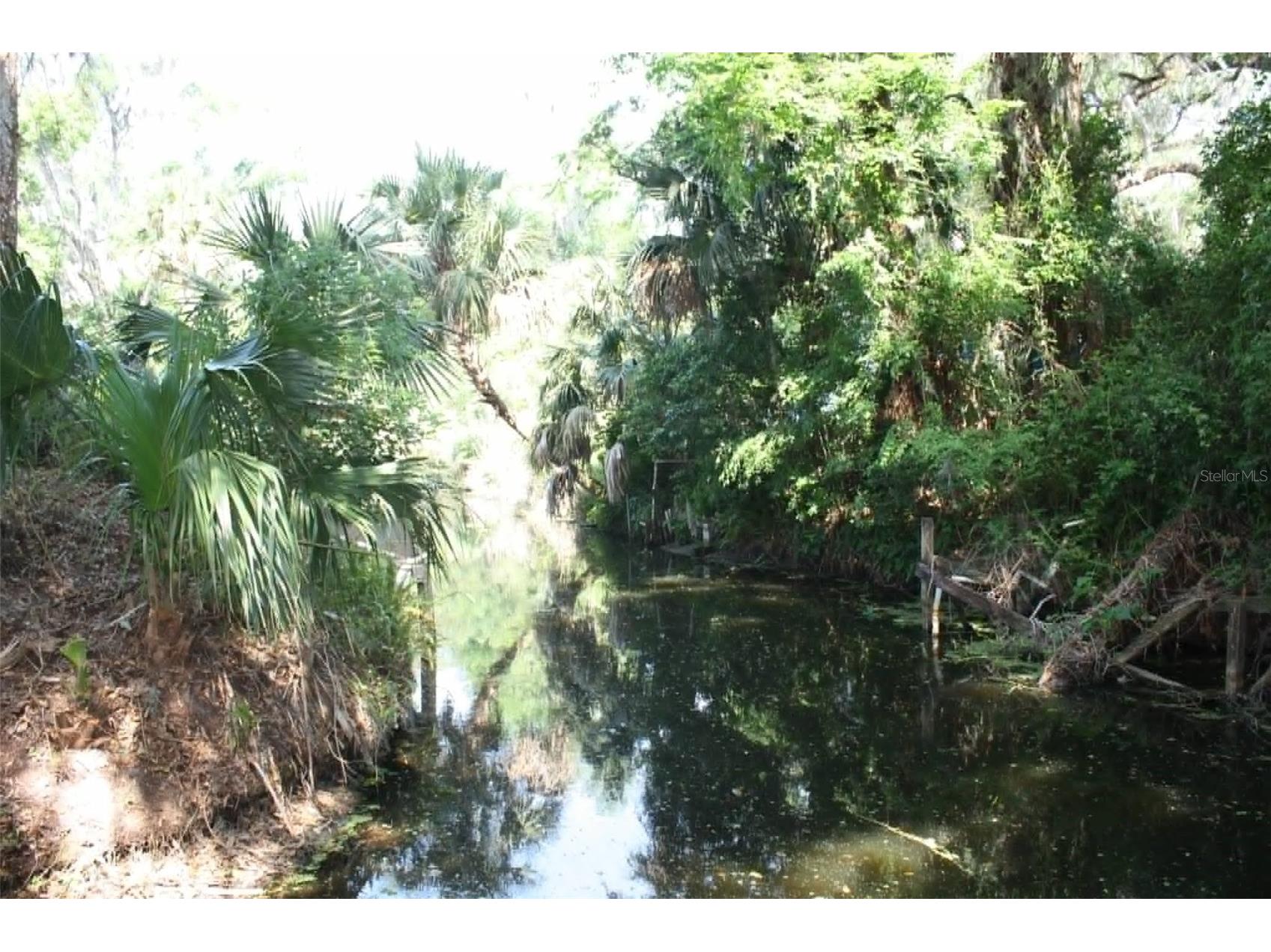4331 Magnolia Avenue Leesburg FL 34748 - LAKE HARRIS L4961818 image36