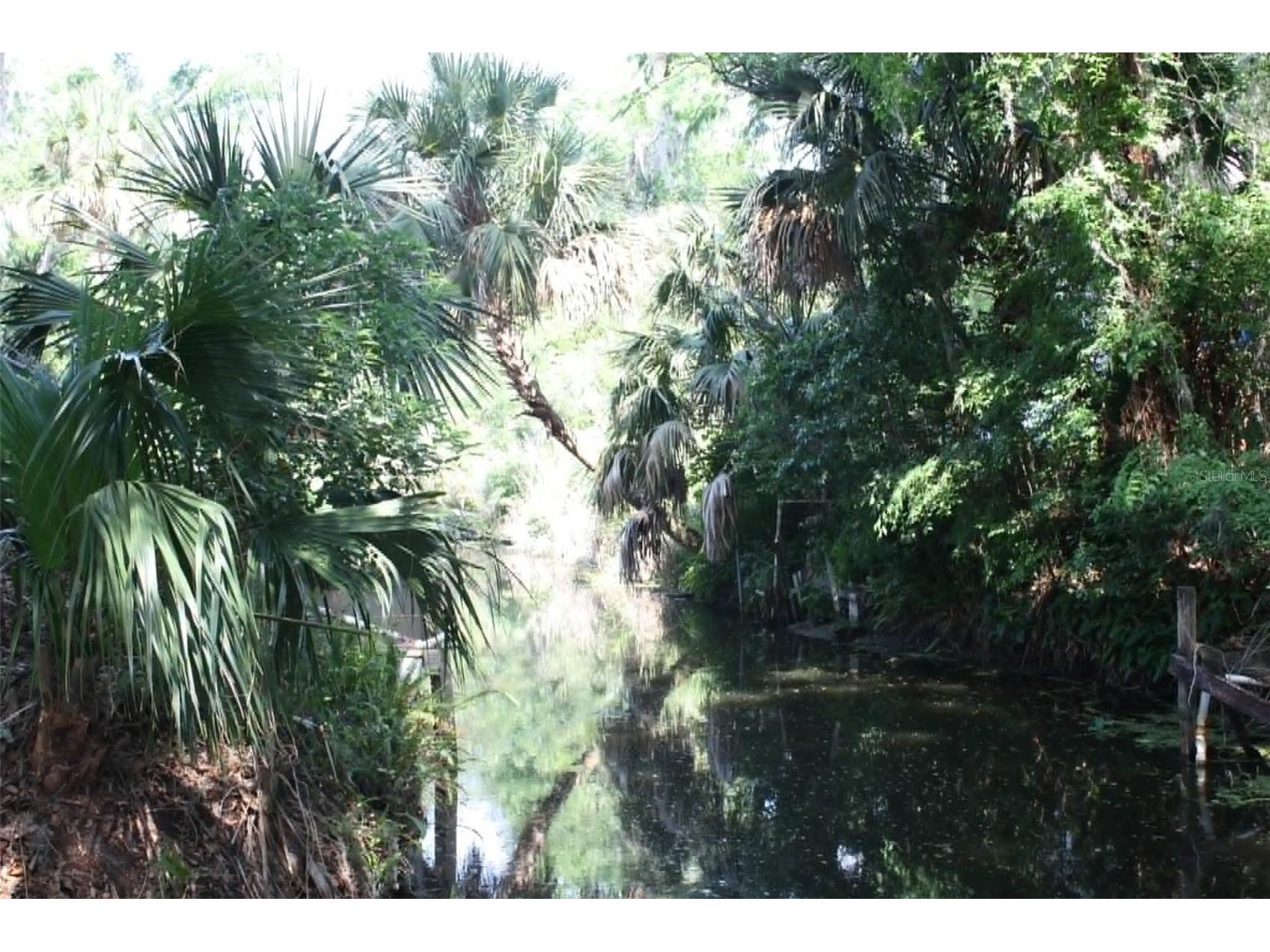 4331 Magnolia Avenue Leesburg FL 34748 - LAKE HARRIS L4961818 image38